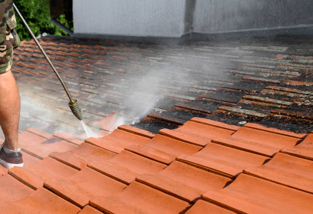 Best Concrete Pressure Washing  in Springfield, MO