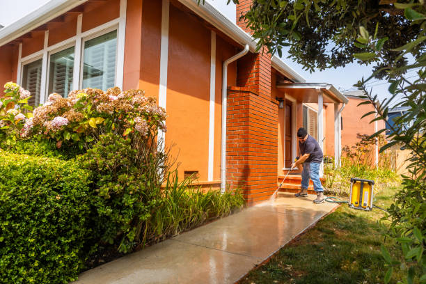 Best Local Pressure Washing Services  in Springfield, MO