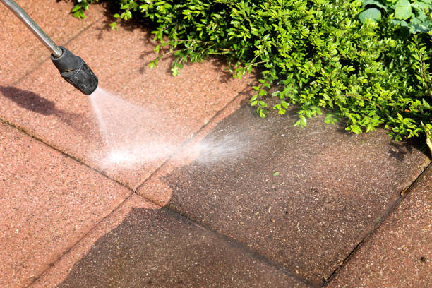 Best Roof Power Washing Services  in Springfield, MO